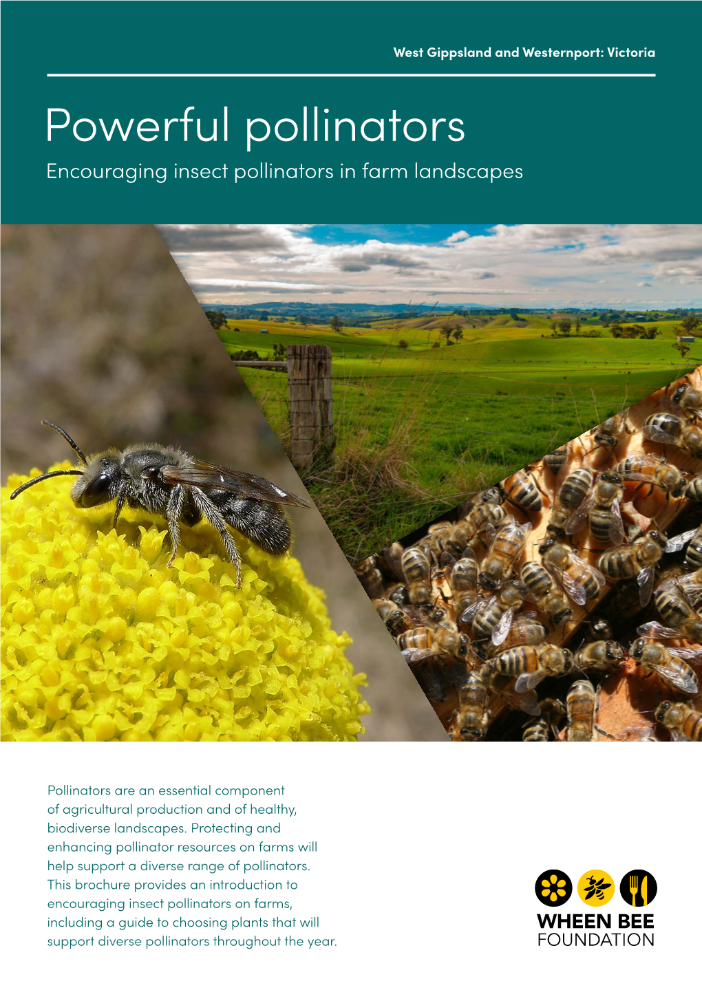 Powerful Pollinators Encouraging Insect Pollinators in Farm Landscapes