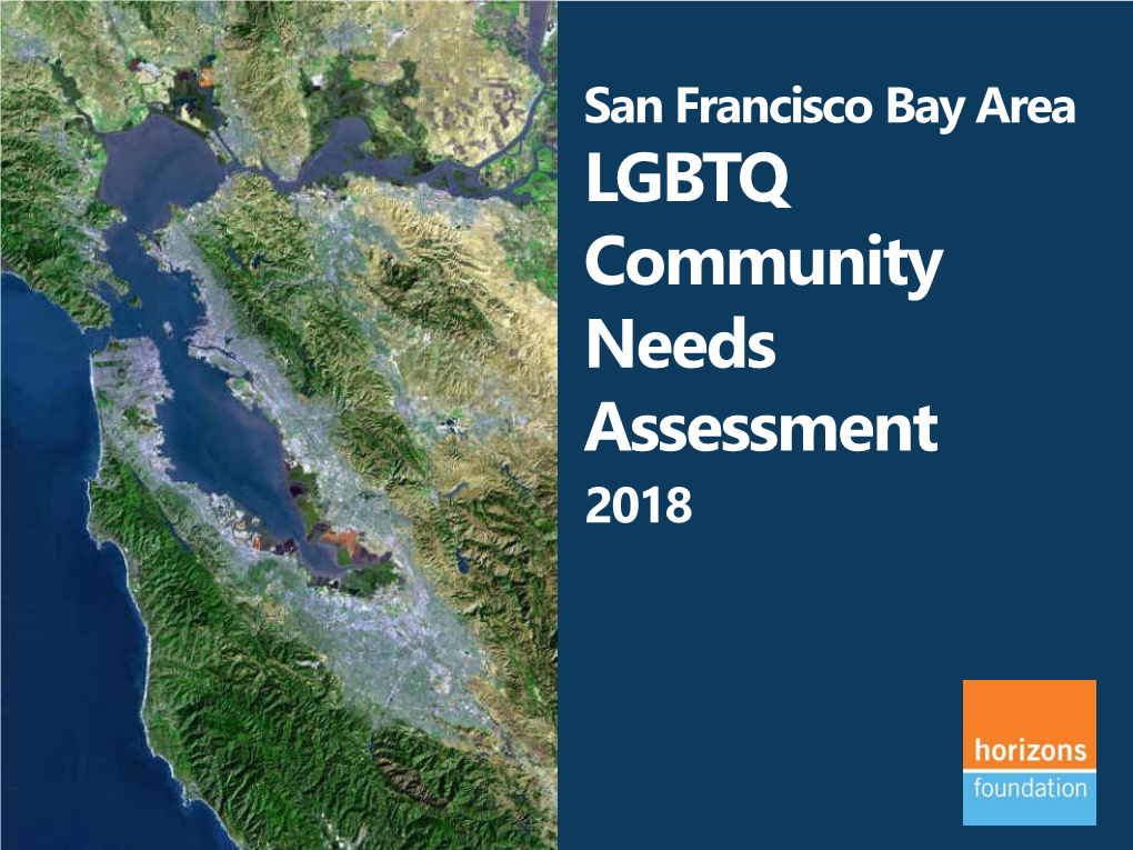 San Francisco Bay Area LGBTQ Community Needs Assessment