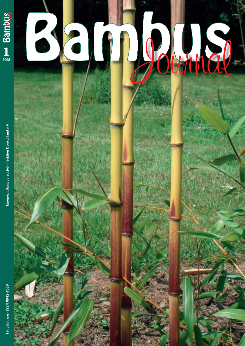 Bambus-Deutschland.De Den Laub, Winterhart