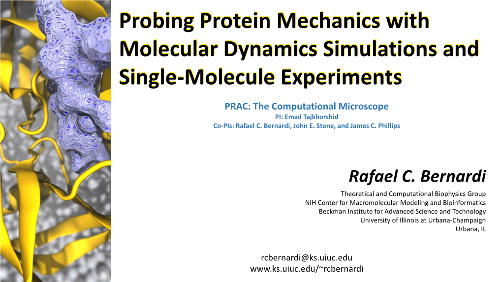 Rafael Bernardi: Probing Protein Mechanics with Molecular Dynamics Simulations and Single-Molecule Experiments