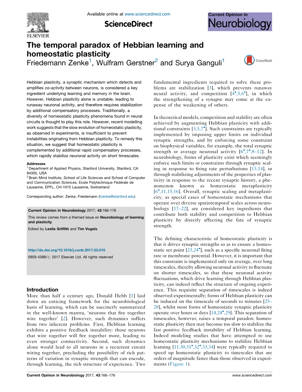 The Temporal Paradox of Hebbian Learning and Homeostatic Plasticity