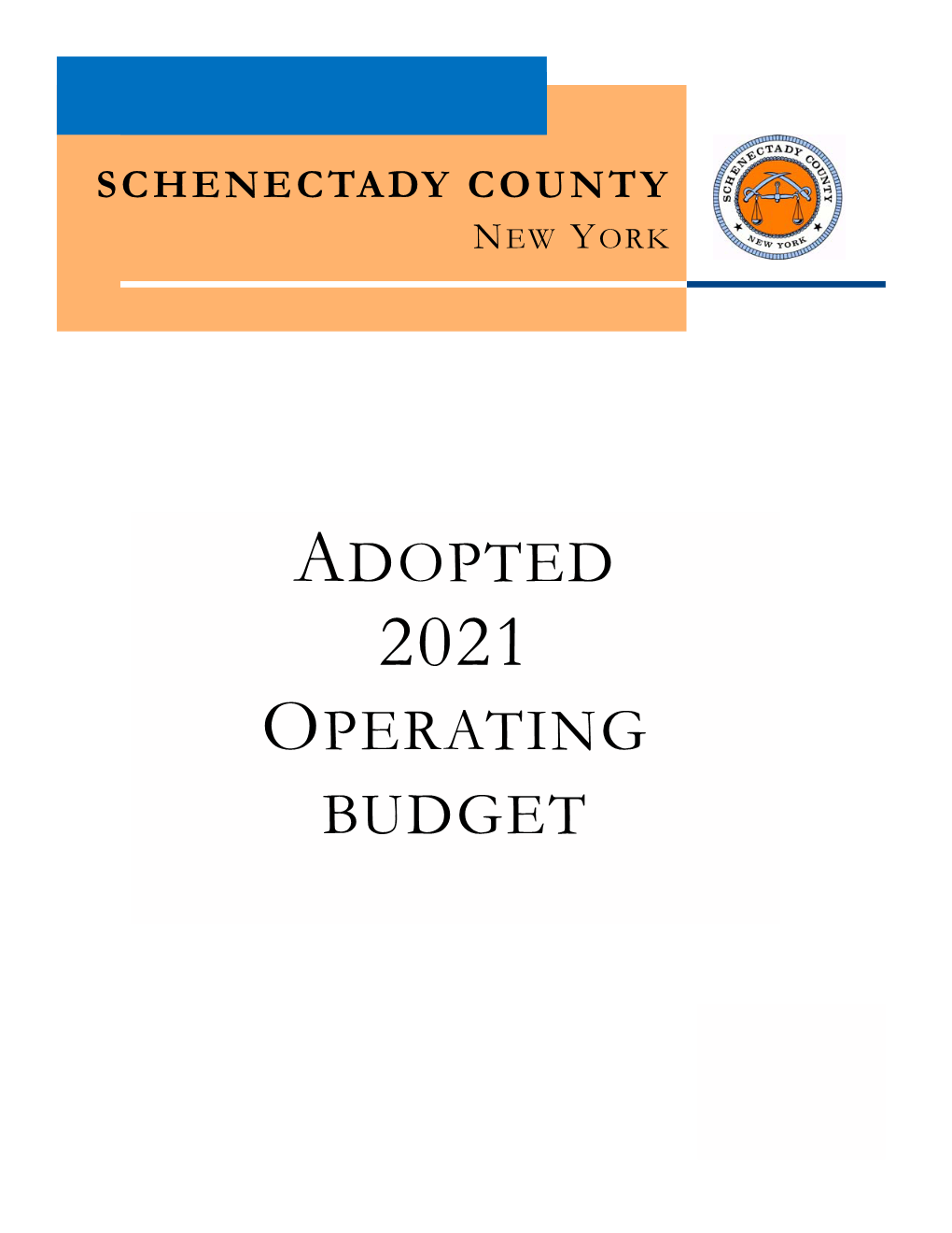 2021 Adopted Program Budget