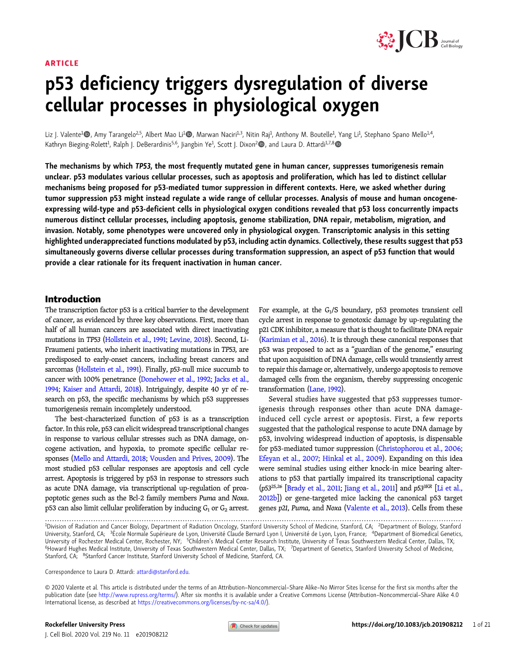 P53 Deficiency Triggers Dysregulation of Diverse Cellular Processes in Physiological Oxygen