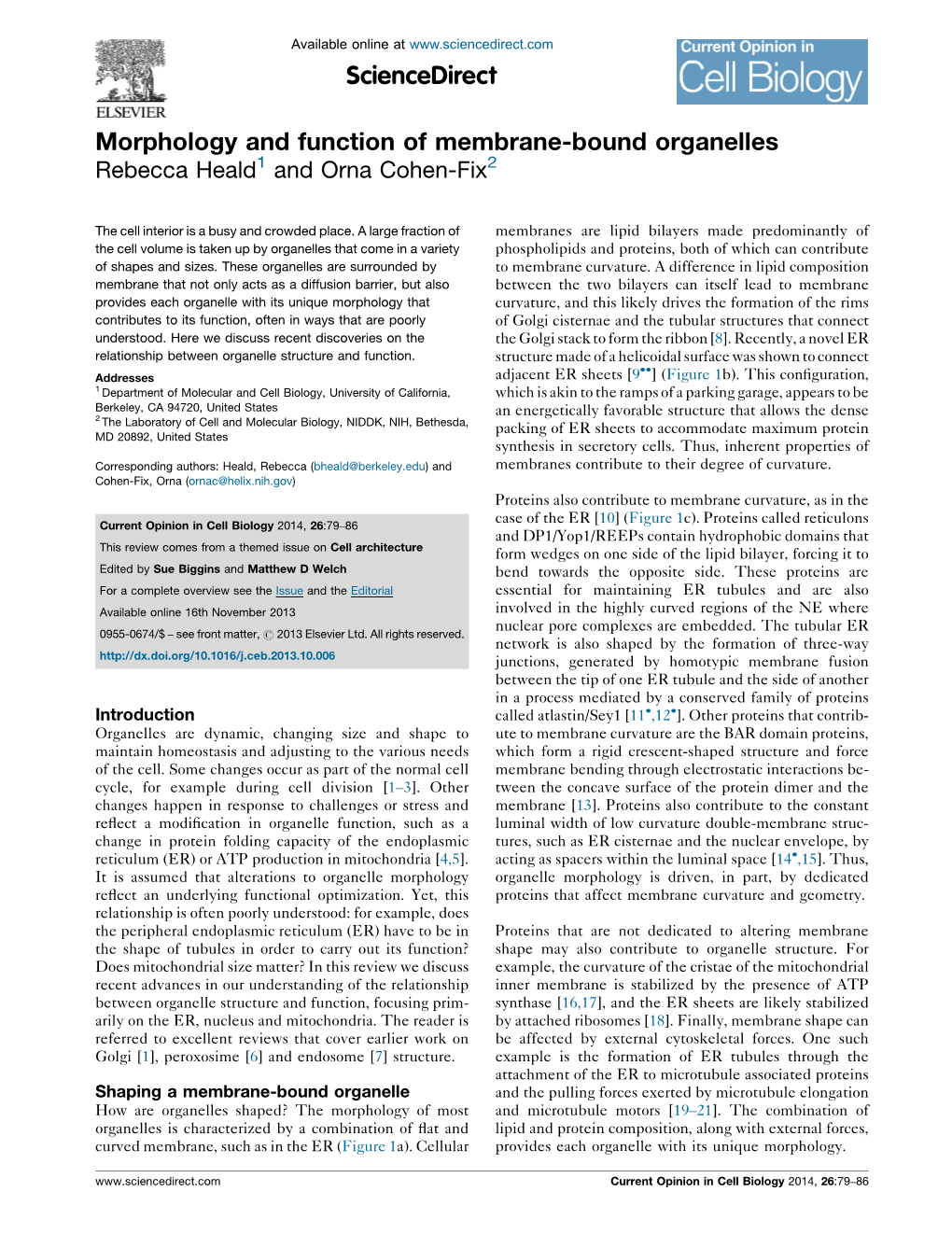 Morphology and Function of Membrane-Bound Organelles