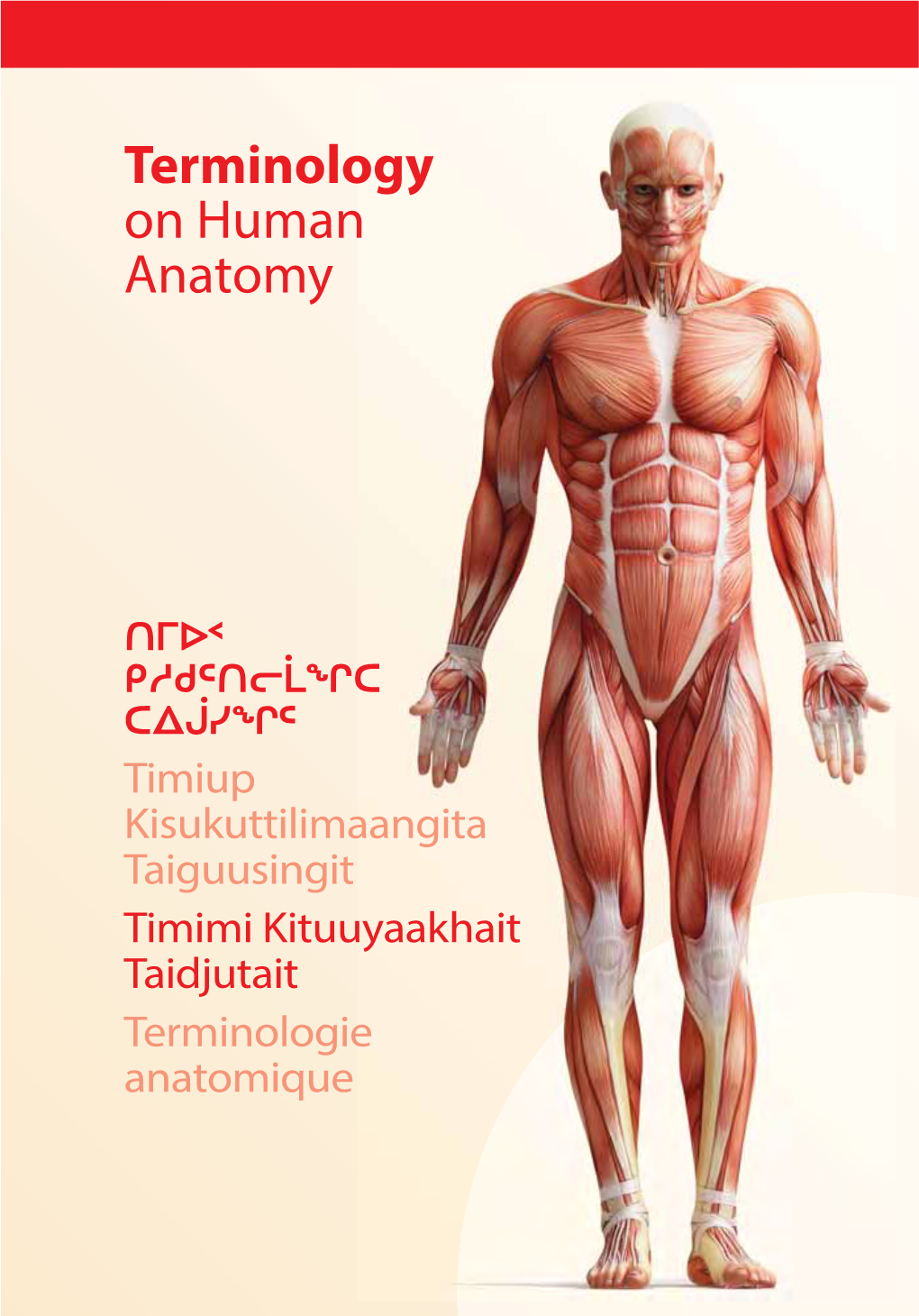 Terminology on Human Anatomy