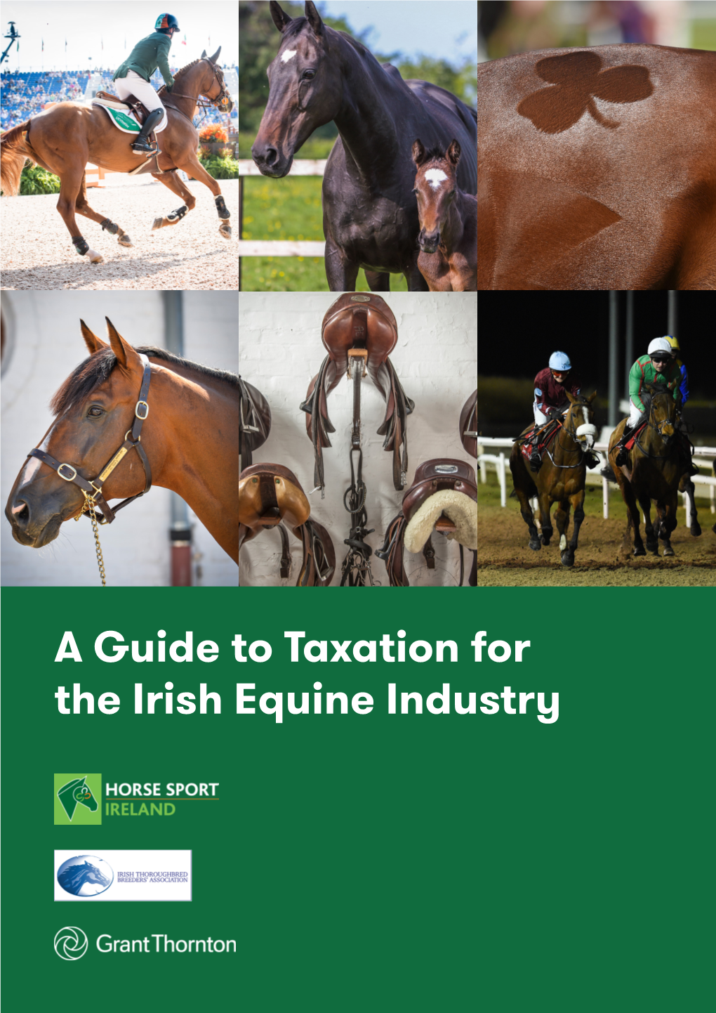A Guide to Taxation for the Irish Equine Industry