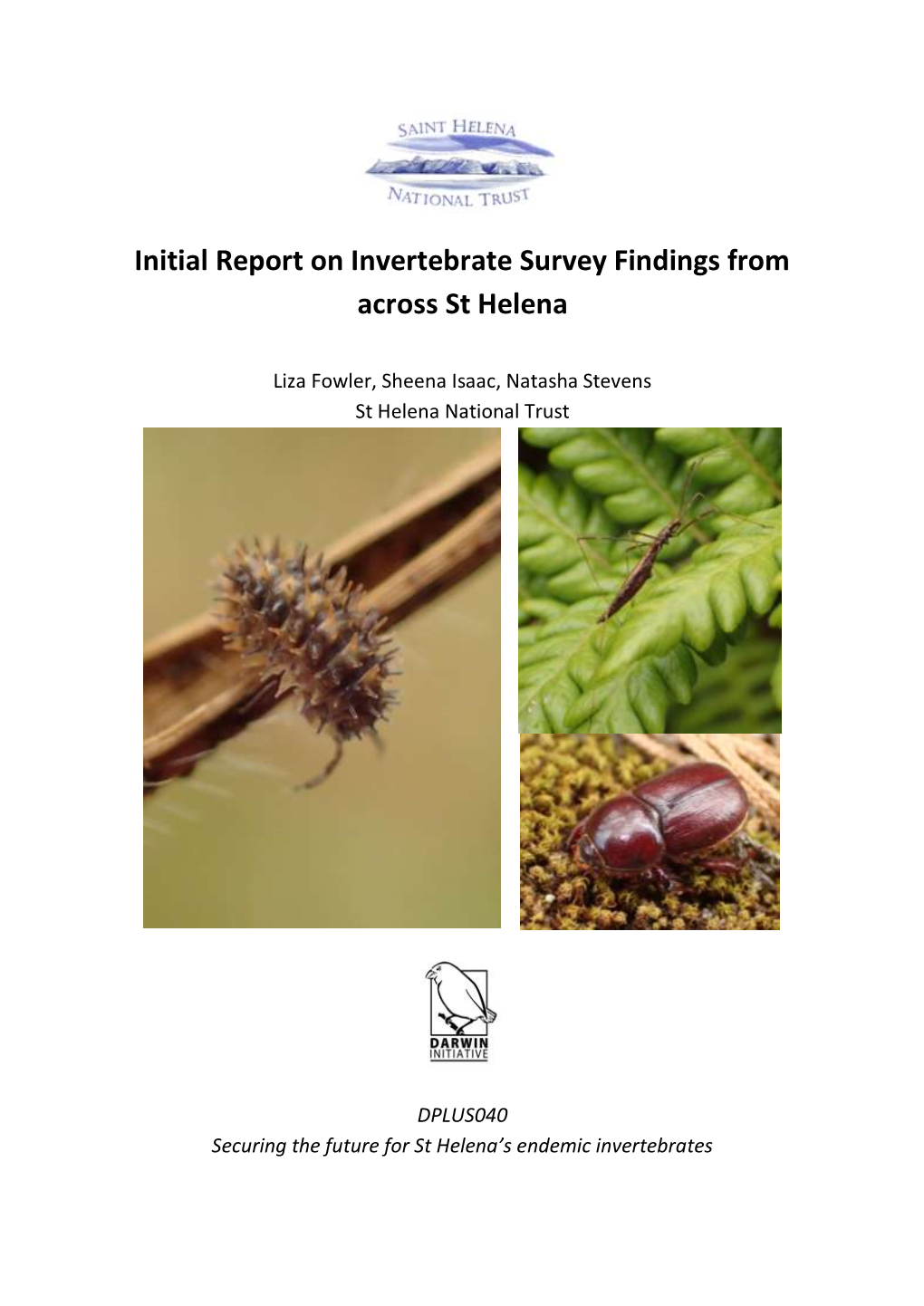 Initial Report on Invertebrate Survey Findings from Across St Helena