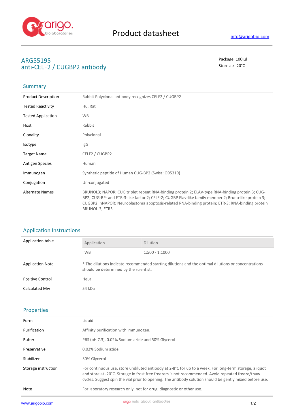 Anti-CELF2 / CUGBP2 Antibody (ARG55195)