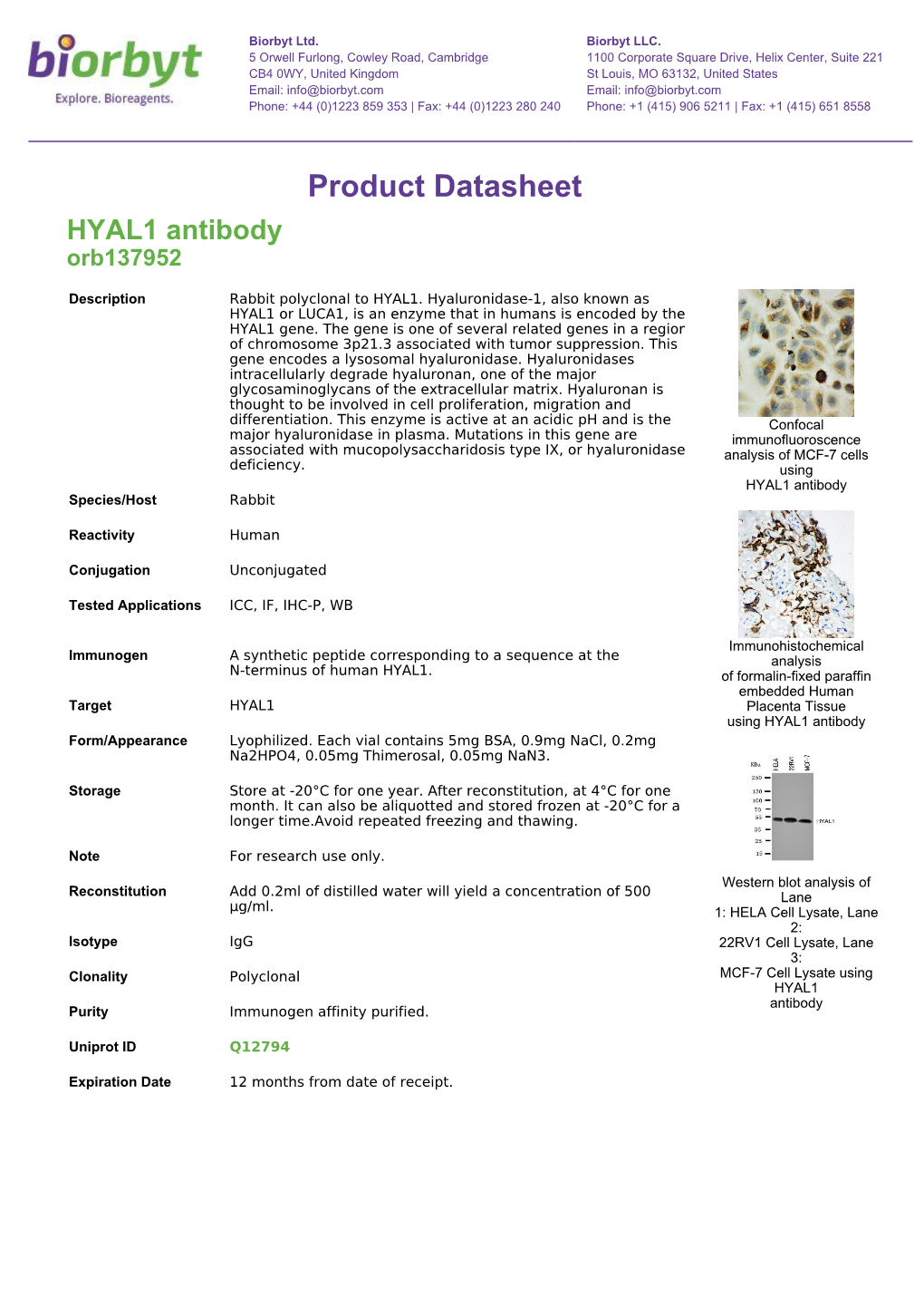 Product Datasheet HYAL1 Antibody Orb137952