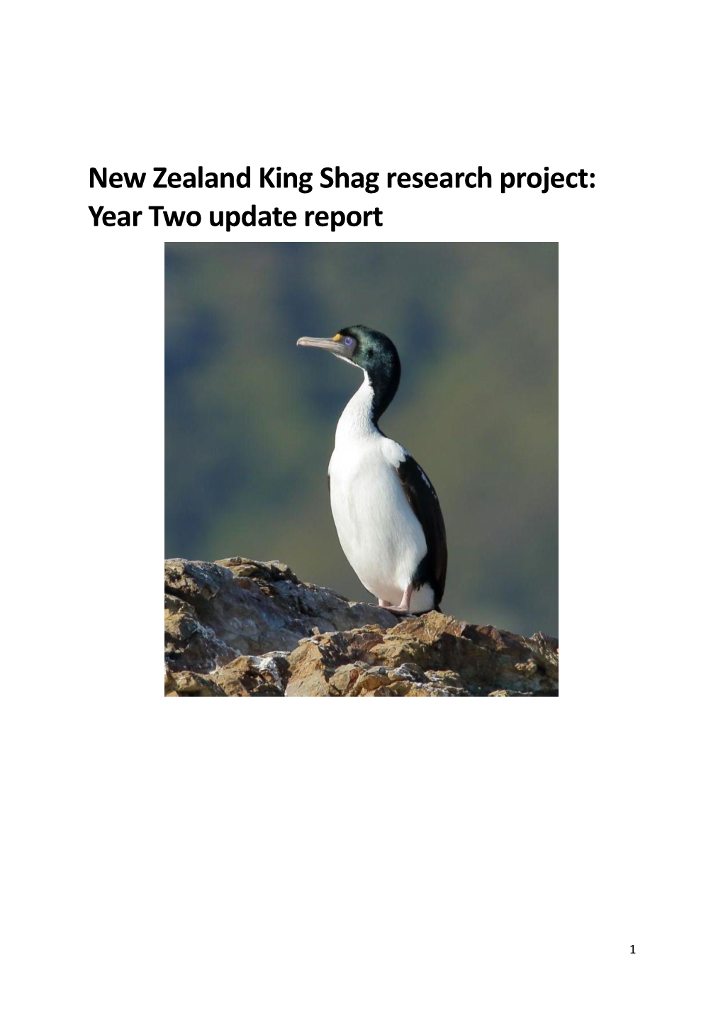 New Zealand King Shag Research Project: Year Two Update Report