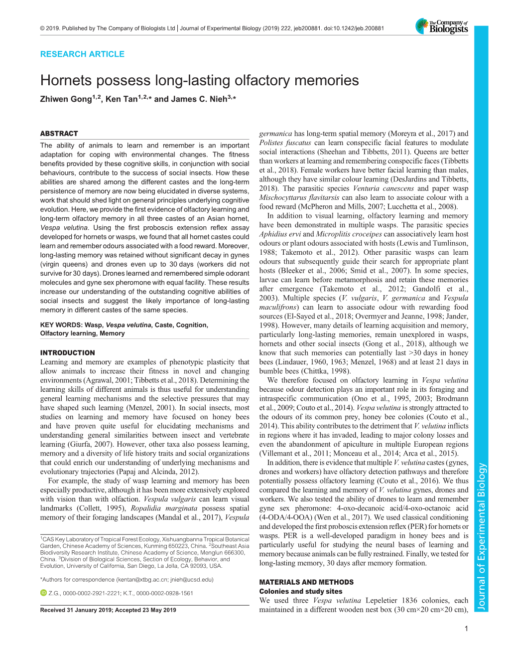 Hornets Possess Long-Lasting Olfactory Memories Zhiwen Gong1,2, Ken Tan1,2,* and James C