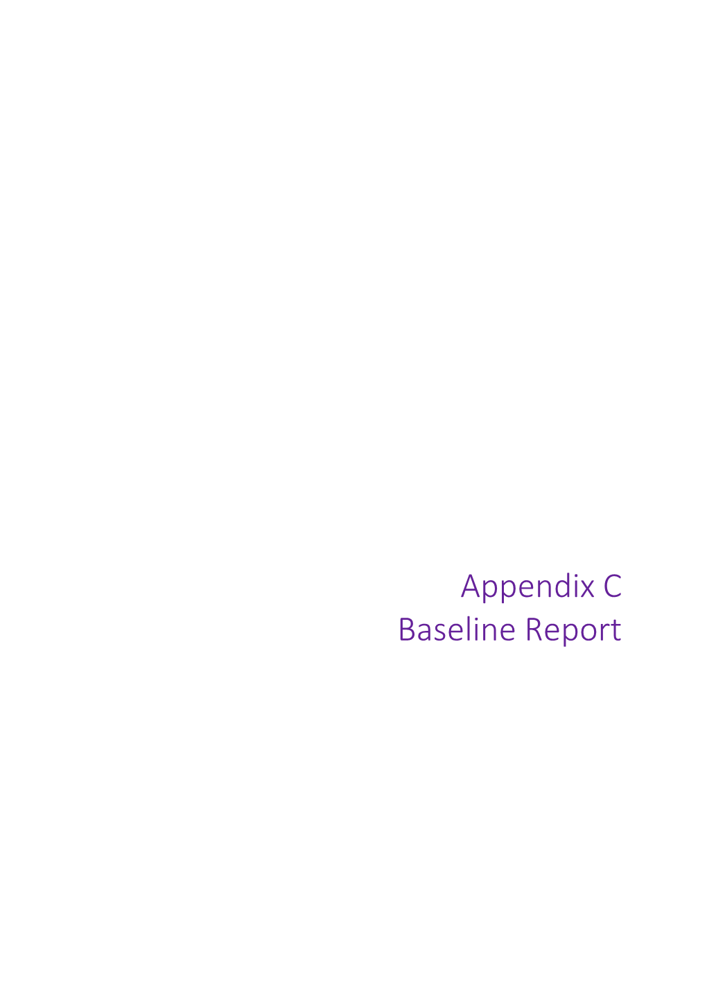 Appendix C Baseline Report