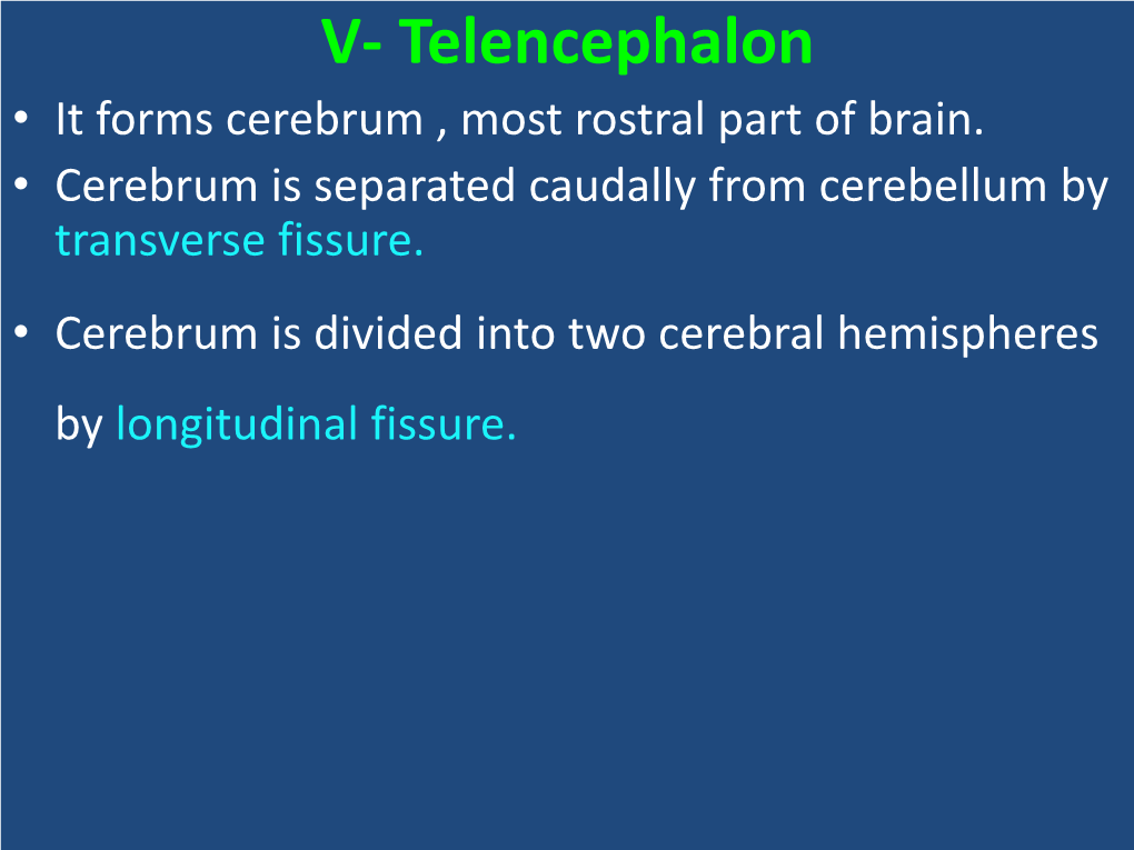 A) Cerebral Cortex: • Outer Most Gray Matter of Cerebrum, Covers Hemispheres , Named Pallium