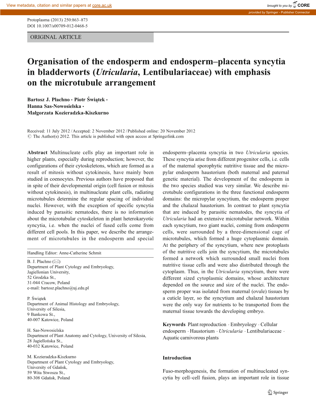 Organisation of the Endosperm and Endosperm–Placenta Syncytia in Bladderworts (Utricularia, Lentibulariaceae) with Emphasis on the Microtubule Arrangement