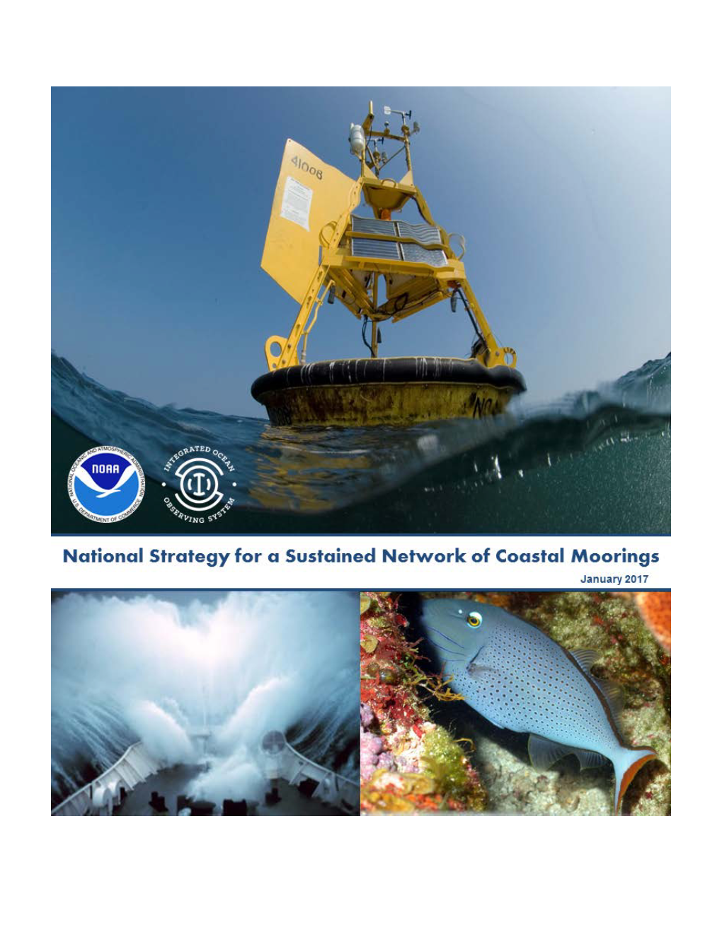 National Strategy for a Sustained Network of Coastal Moorings