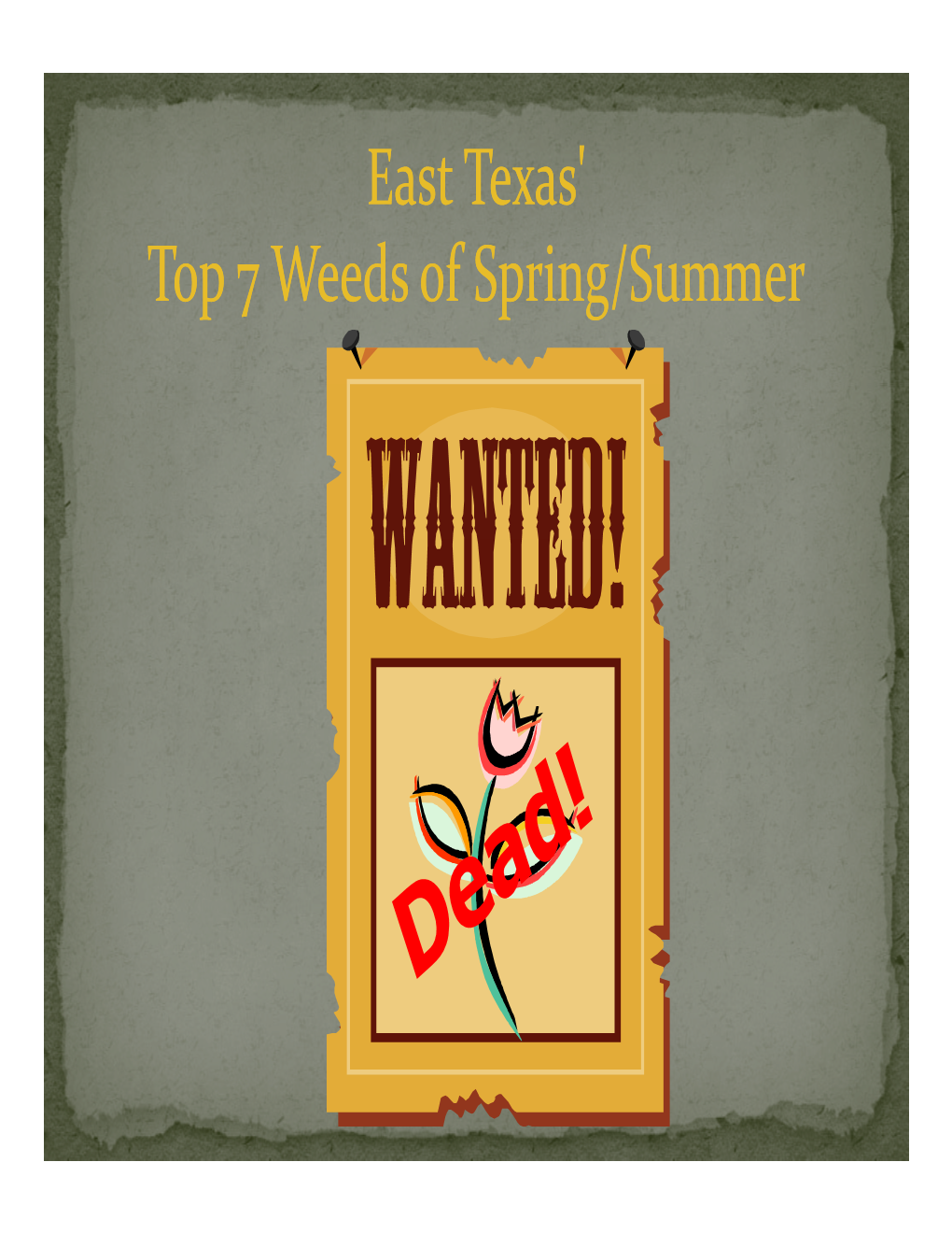 East Texas' Top 7 Weeds of Spring/Summer