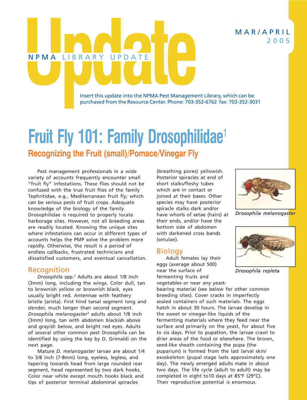 Fruit Fly 101: Family Drosophilidae1 Recognizing the Fruit (Small)/Pomace/Vinegar Fly