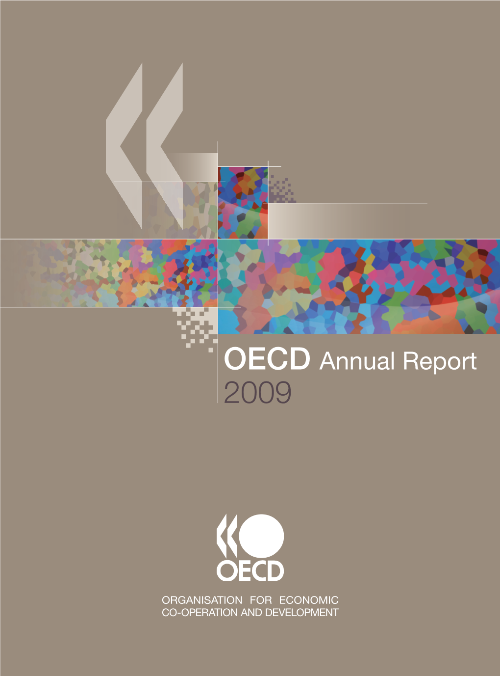 OECD Annual Report 2009