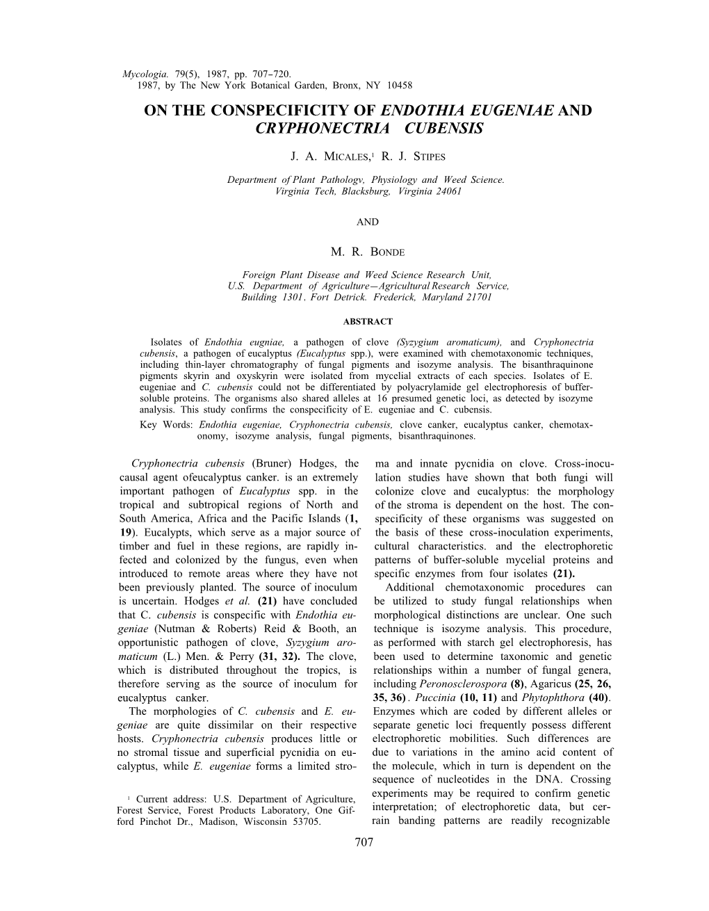 On the Conspecificity of Endothia Eugeniae and Cryphonectria Cubensis