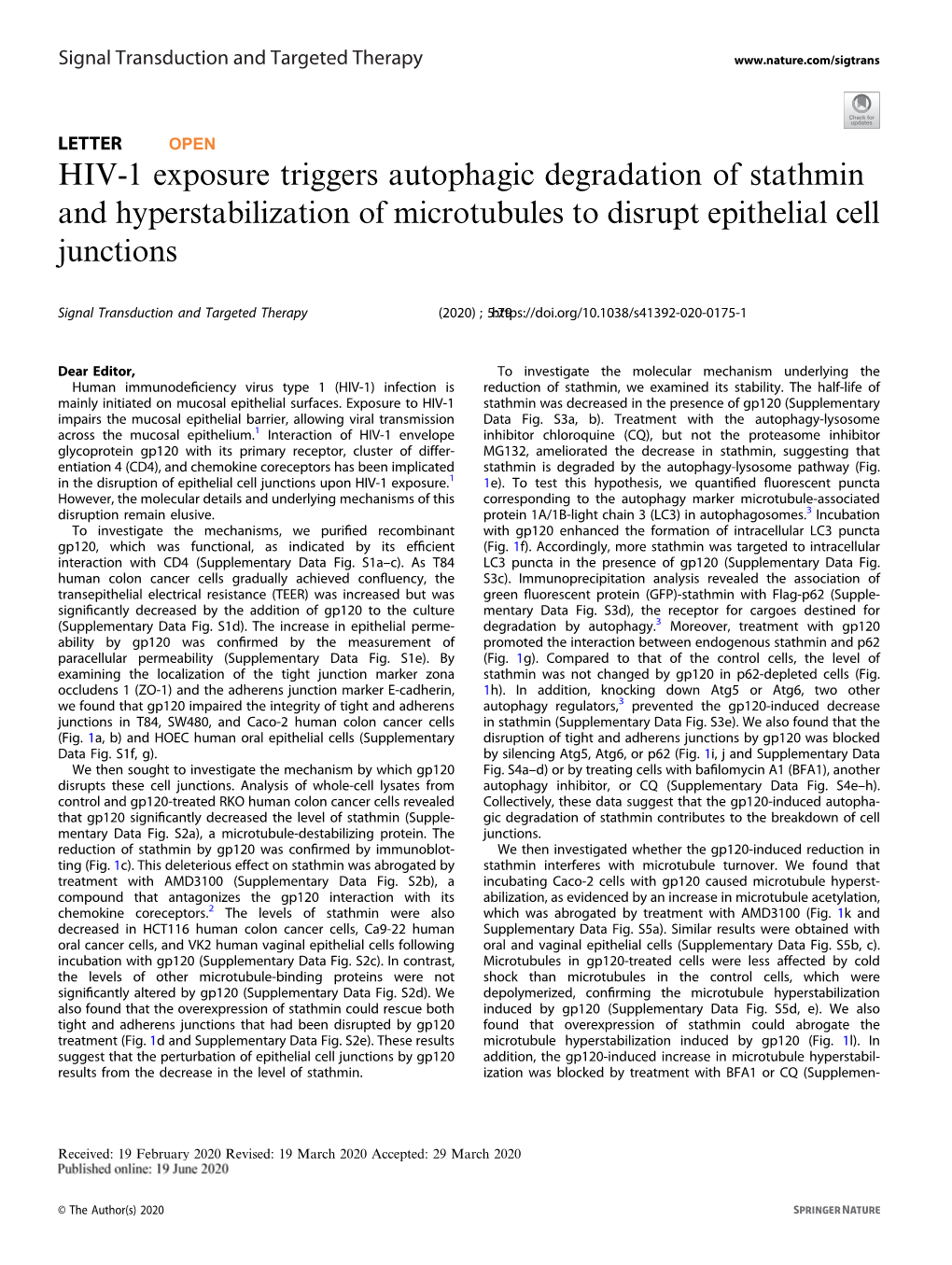 HIV-1 Exposure Triggers Autophagic Degradation of Stathmin and Hyperstabilization of Microtubules to Disrupt Epithelial Cell Junctions