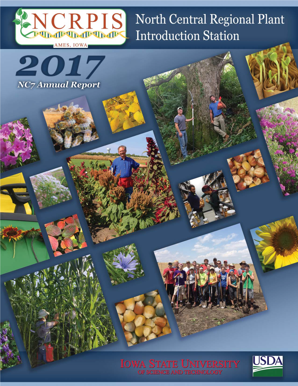 2017 Annual Report