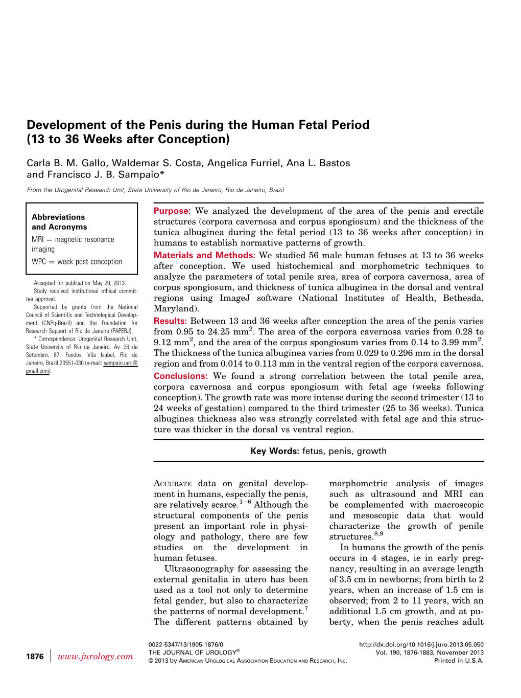 Development of the Penis During the Human Fetal Period (13 to 36 Weeks After Conception)