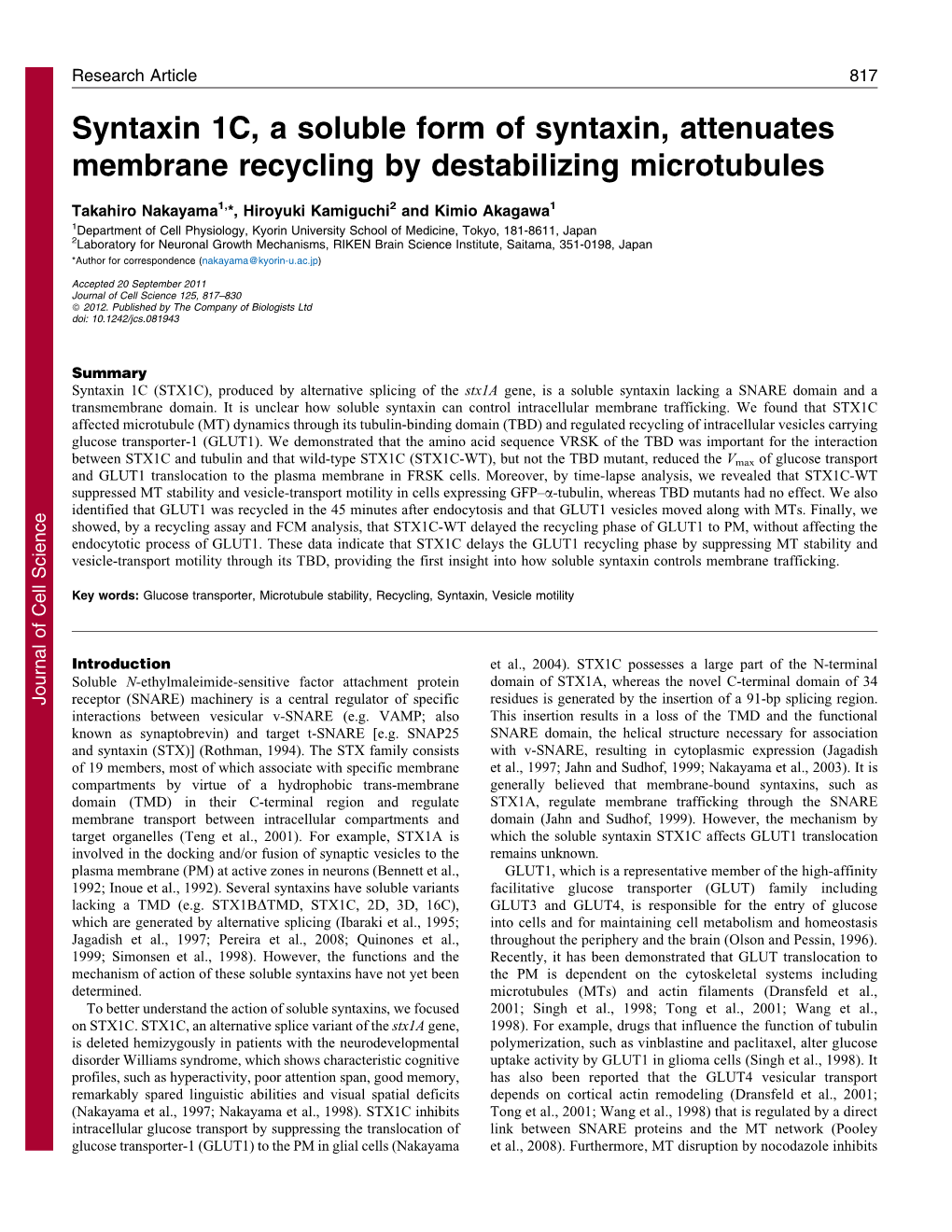 Syntaxin 1C, a Soluble Form of Syntaxin, Attenuates Membrane Recycling by Destabilizing Microtubules