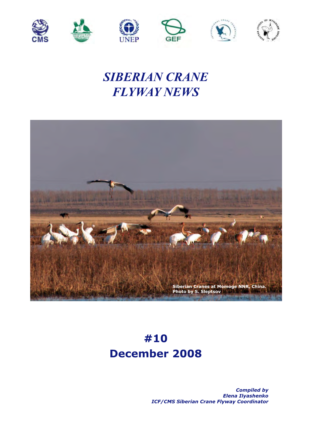 Siberian Crane Flyway News