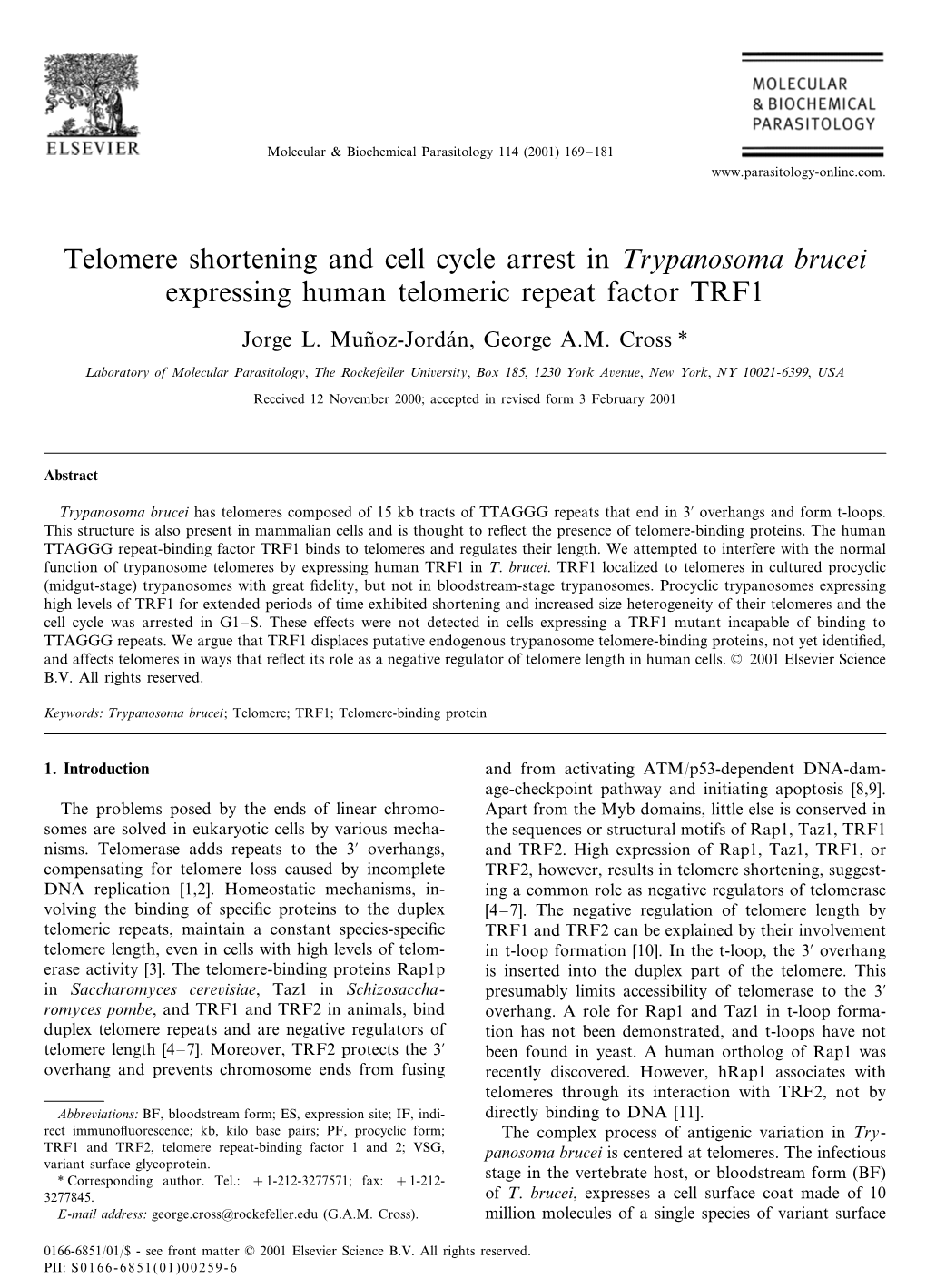 Telomere Shortening and Cell Cycle Arrest in Trypanosoma Brucei Expressing Human Telomeric Repeat Factor TRF1