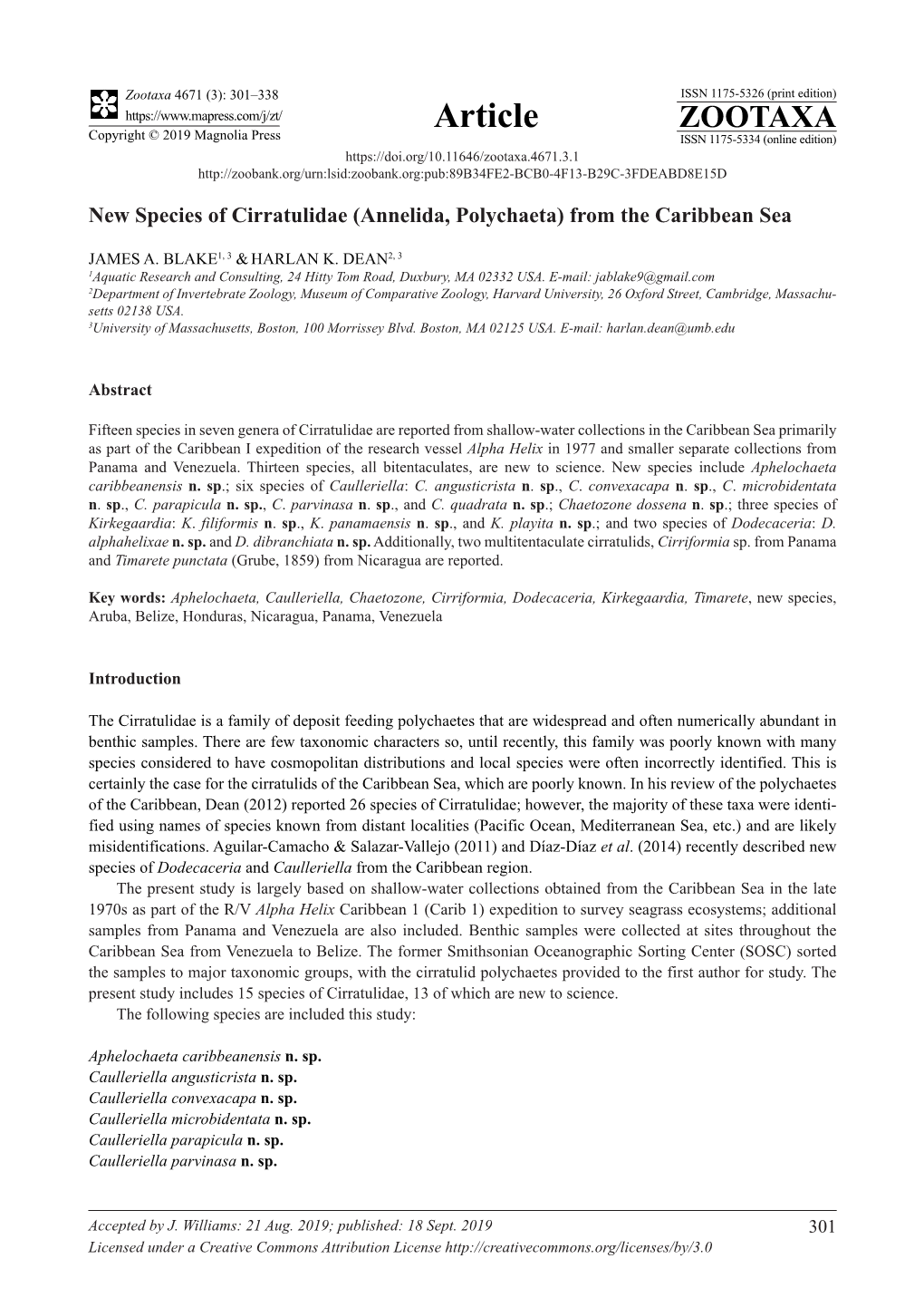 New Species of Cirratulidae (Annelida, Polychaeta) from the Caribbean Sea