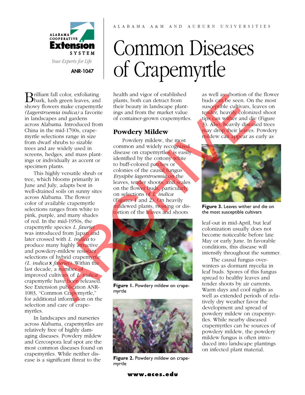 Common Diseases of Crapemyrtle 3 Publishing Co., Champaign, Ill