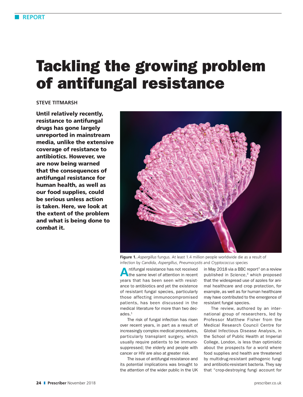 Tackling the Growing Problem of Antifungal Resistance