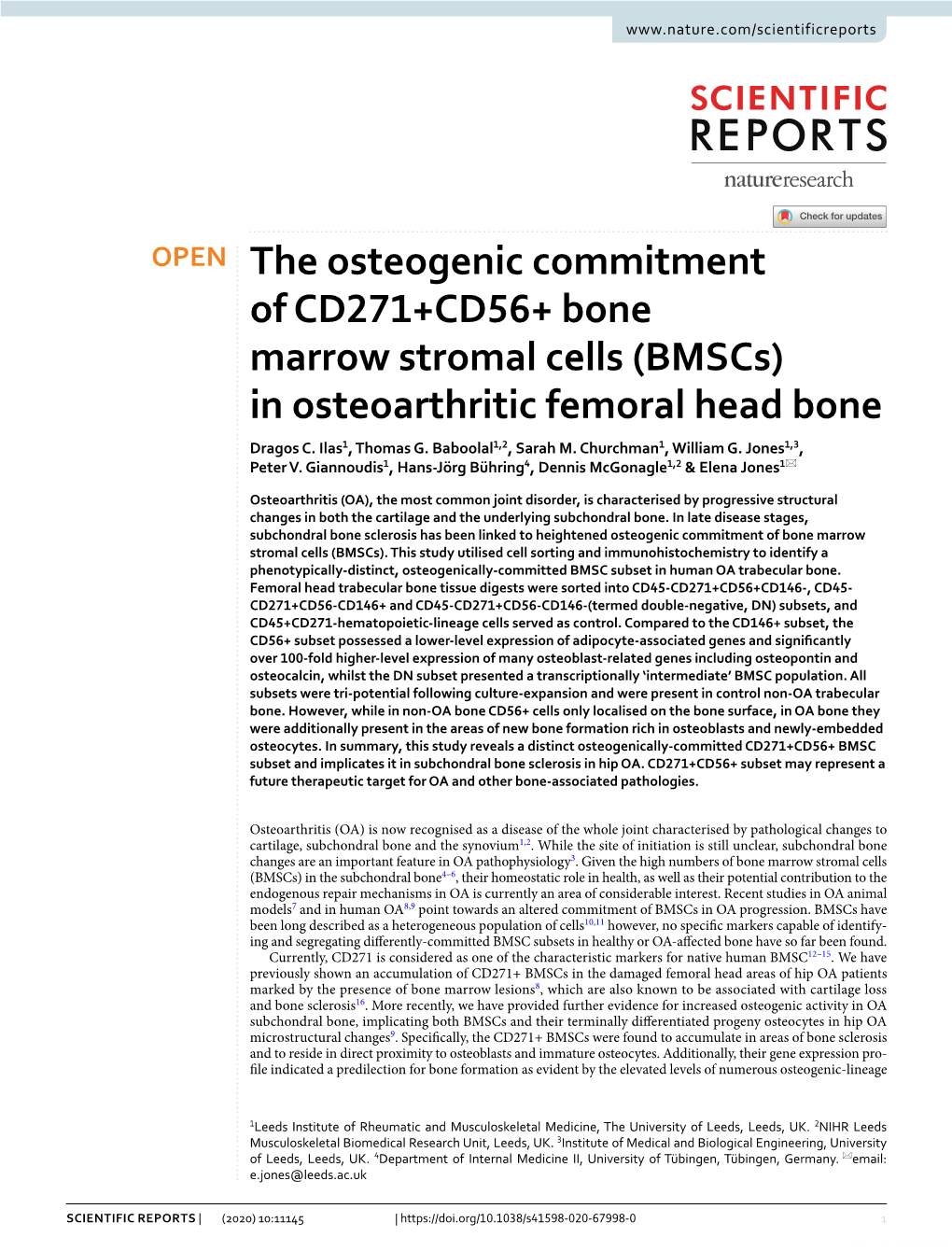 The Osteogenic Commitment of CD271+CD56+ Bone Marrow Stromal Cells (Bmscs) in Osteoarthritic Femoral Head Bone Dragos C