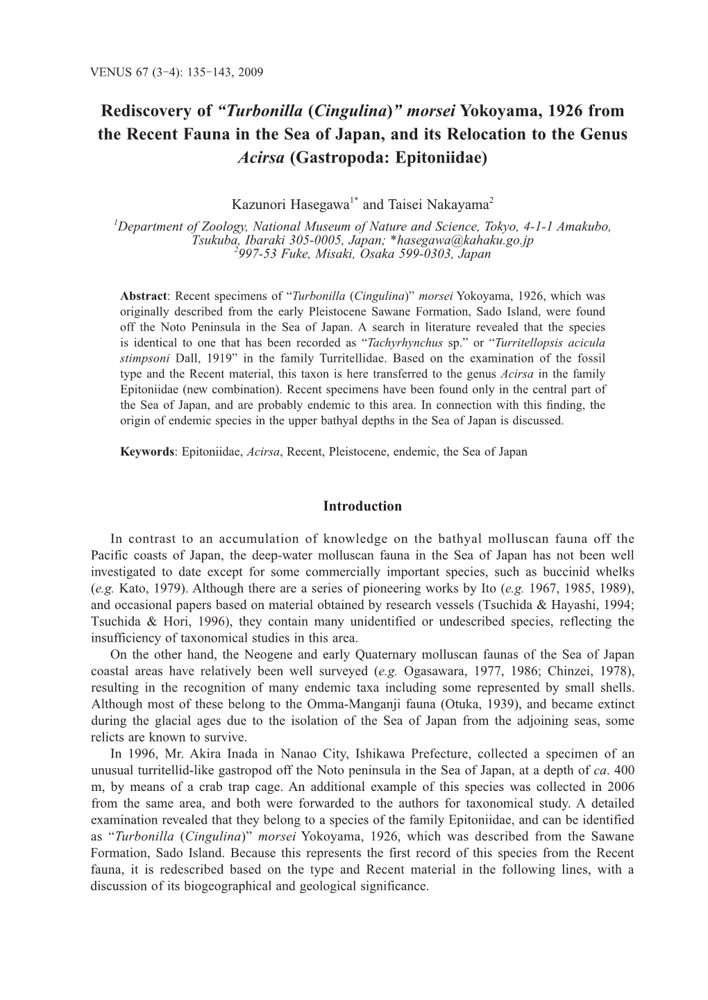 Turbonilla (Cingulina)” Morsei Yokoyama, 1926 from the Recent Fauna in the Sea of Japan, and Its Relocation to the Genus Acirsa (Gastropoda: Epitoniidae)