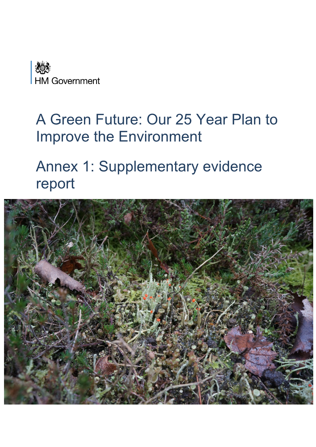 A Green Future: Our 25 Year Plan to Improve the Environment