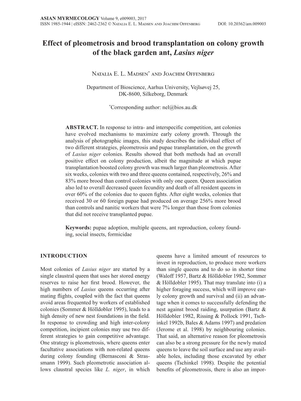 Effect of Pleometrosis and Brood Transplantation on Colony Growth of the Black Garden Ant, Lasius Niger