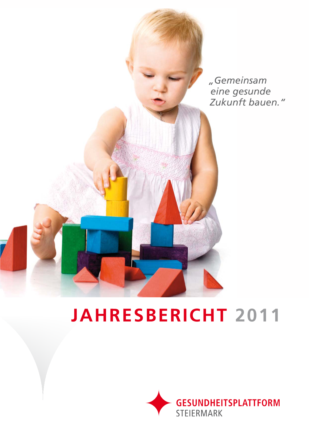 Jahresbericht 2011