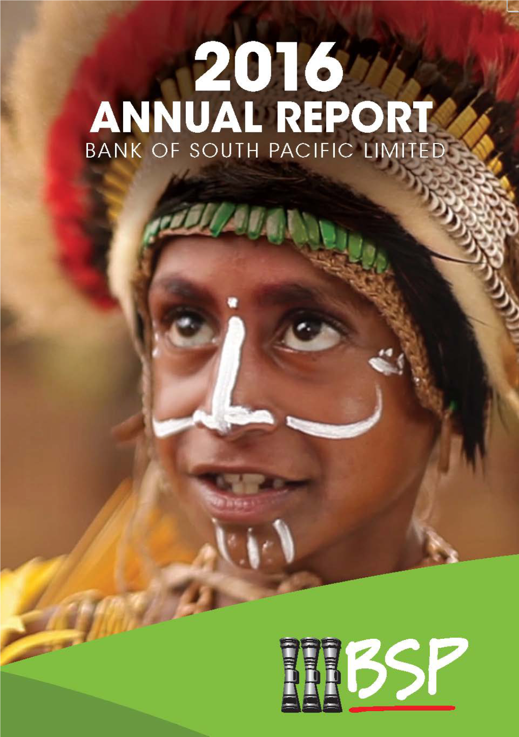 BSP Annual Report 2016