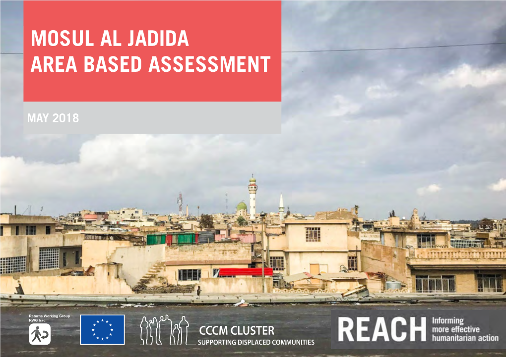 Mosul Al Jadida Area Based Assessment