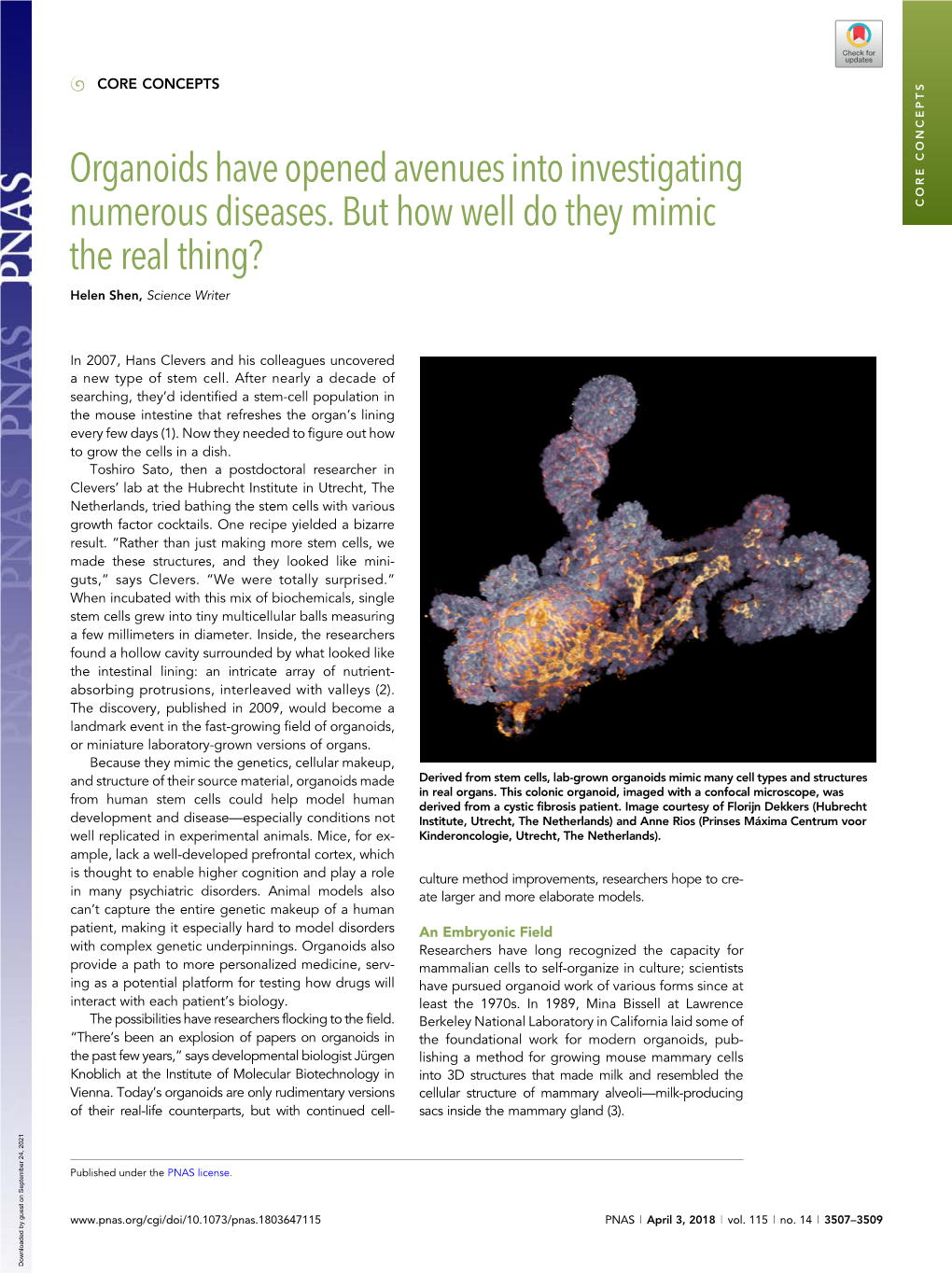 Organoids Have Opened Avenues Into Investigating Numerous Diseases. but How Well Do They Mimic the Real Thing?