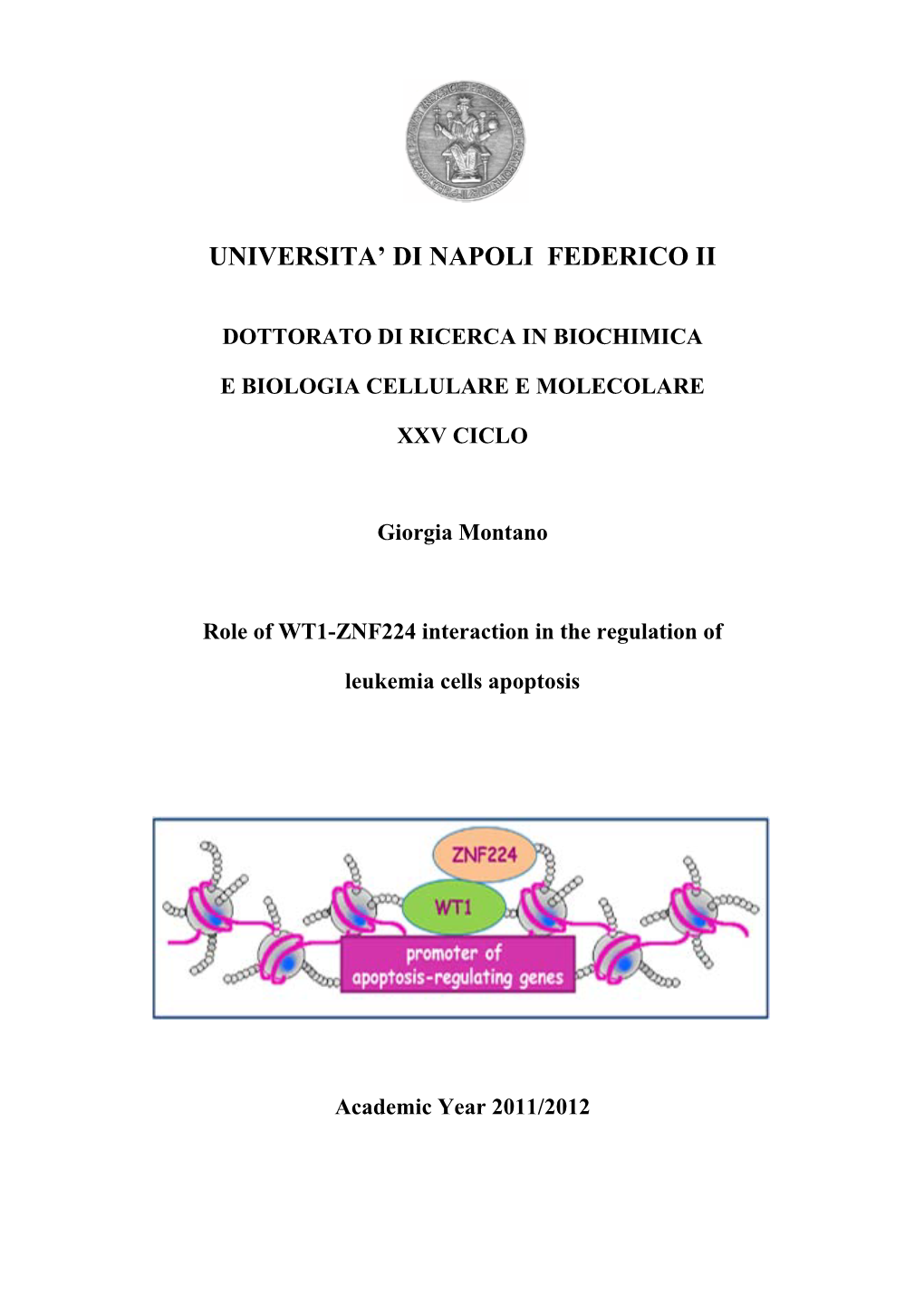 Universita' Di Napoli Federico Ii