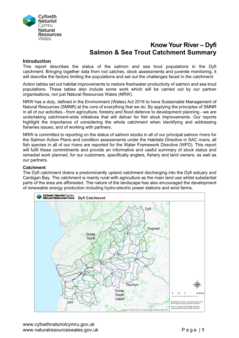 Dyfi Salmon & Sea Trout Catchment Summary