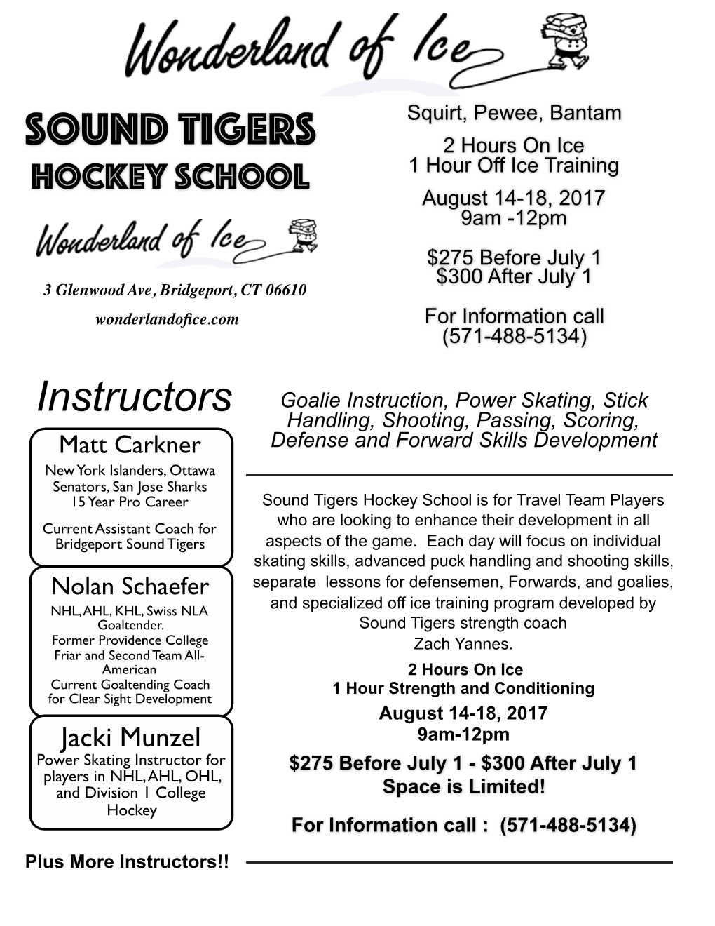 Sound Tiger Camp Flyer