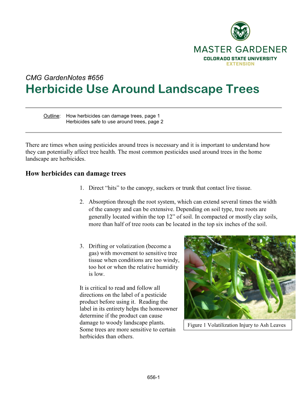Herbicide Use Around Landscape Trees
