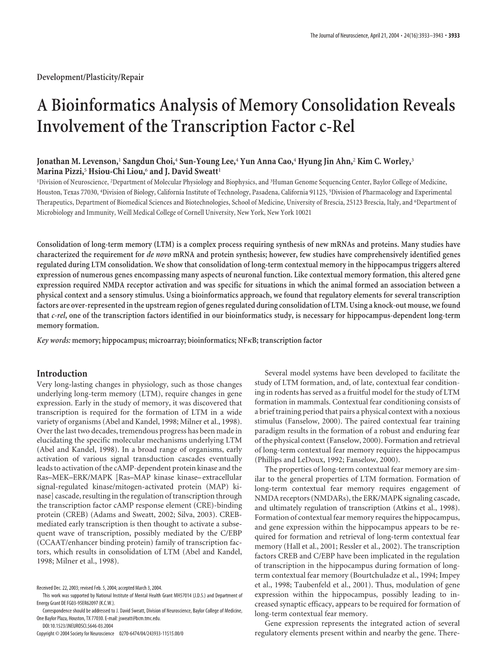 A Bioinformatics Analysis of Memory Consolidation Reveals Involvement of the Transcription Factor C-Rel