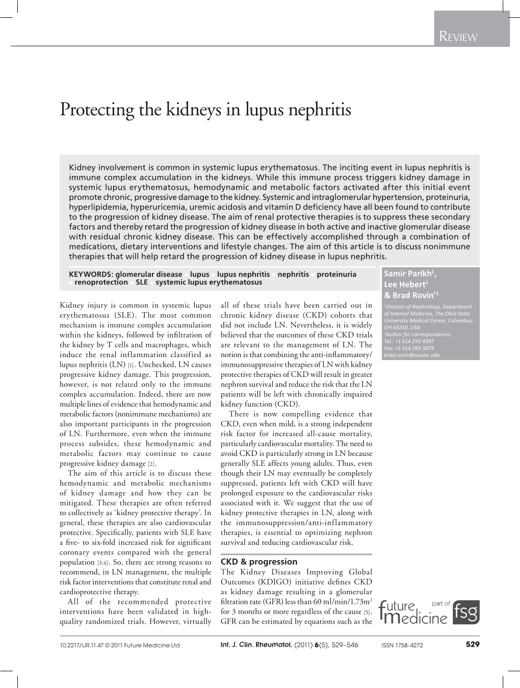 Protecting the Kidneys in Lupus Nephritis