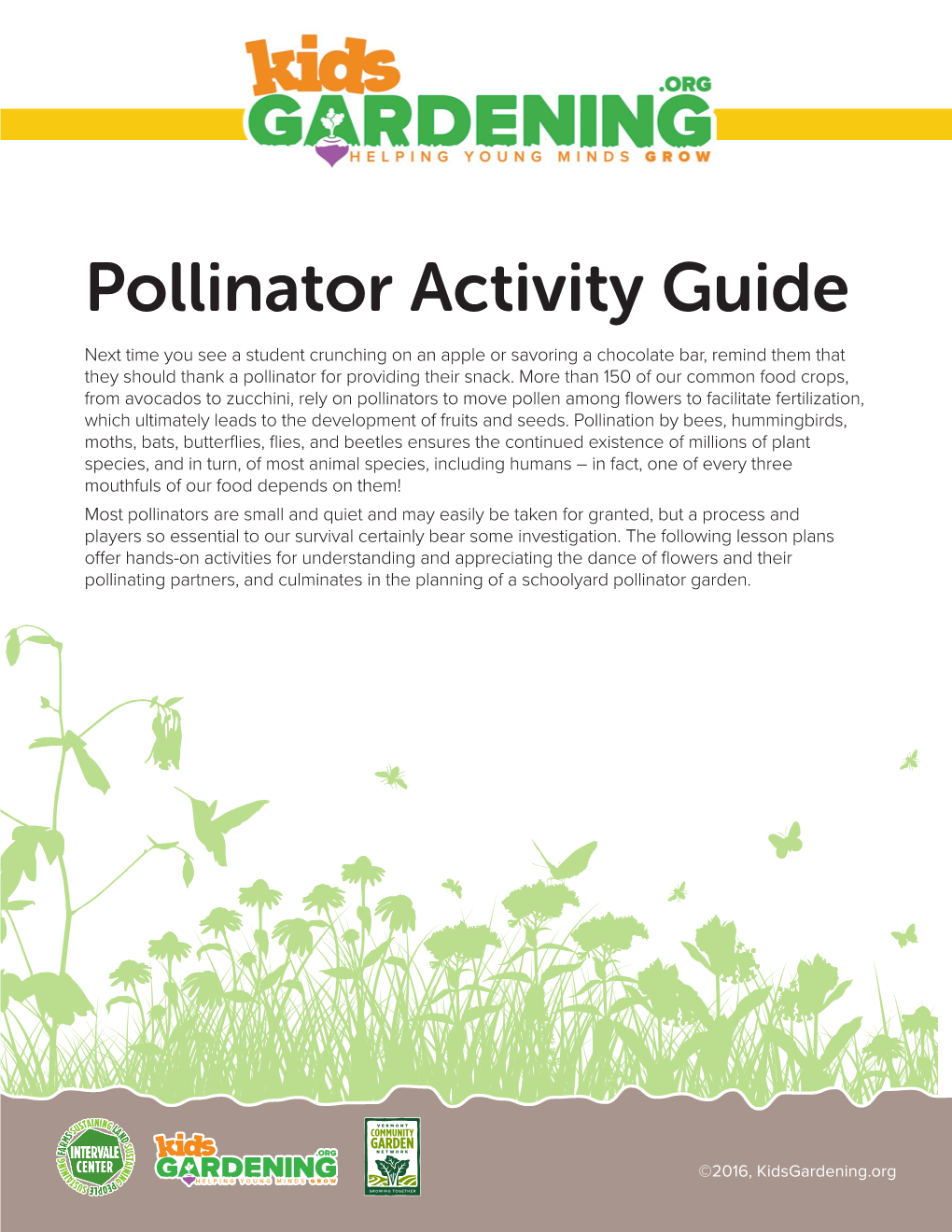 Pollinator Activity Guide