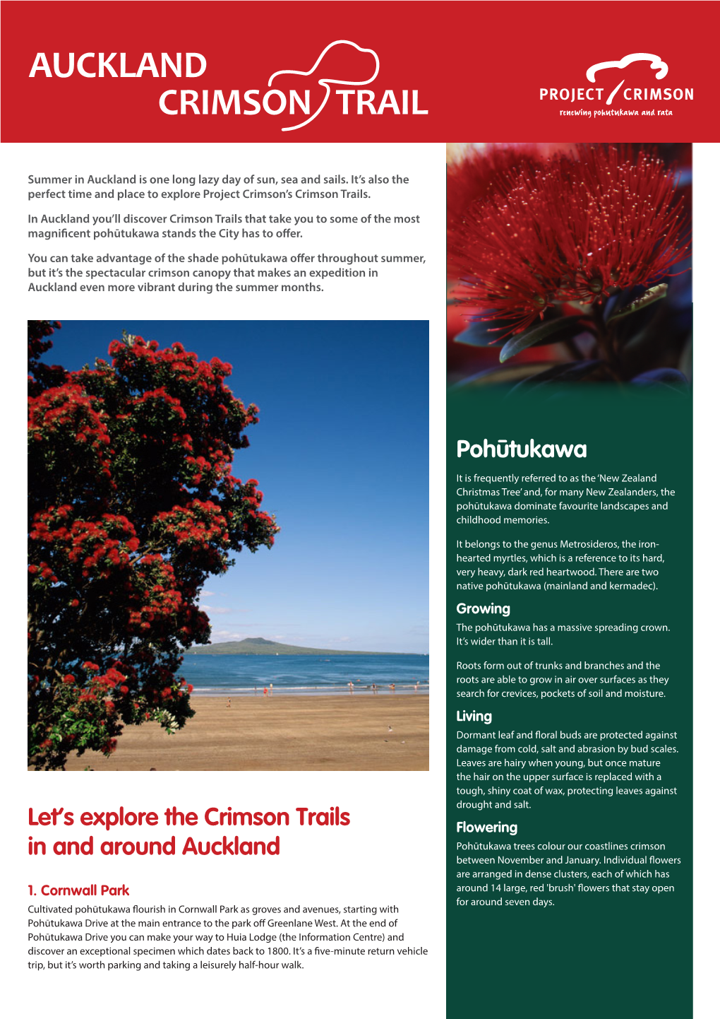 Auckland Crimson Trail