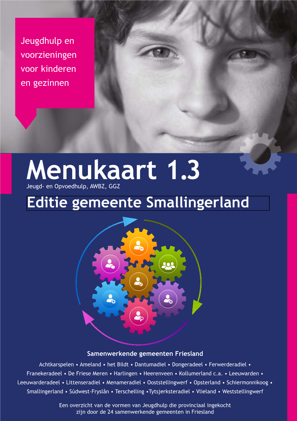 Menukaart 1.3 Jeugd- En Opvoedhulp, AWBZ, GGZ Editie Gemeente Smallingerland