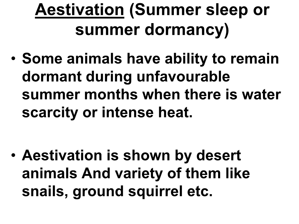 Aestivation (Summer Sleep Or Summer Dormancy)